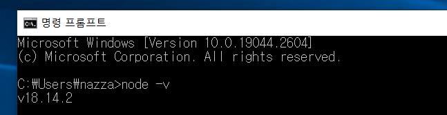 Node. js 설치 확인