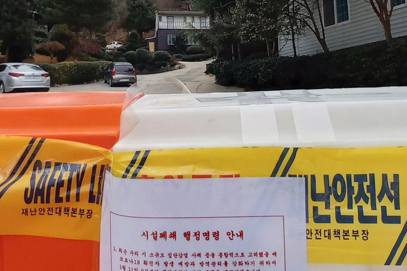  반려동물의 코로나 감염,국내 첫 반려동물 감염, 고양이는 코로나에 어떻게걸리게 되었나?