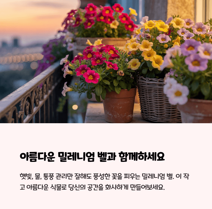 밀레니엄 벨