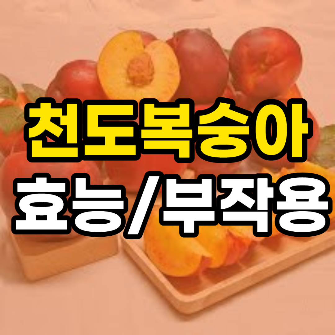  천도복숭아 효능 10가지 및 부작용
