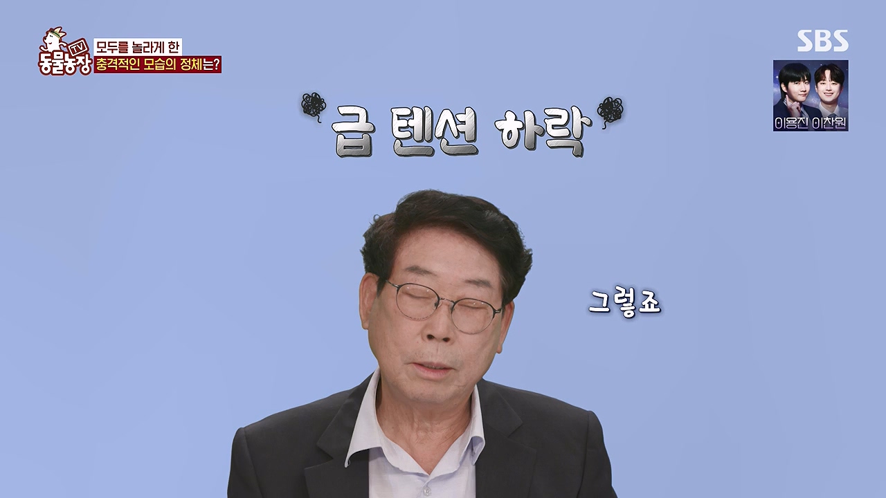 TV 동물농장.E1179.240708p-NEXT.mp4_20240707_160429.737.jpg