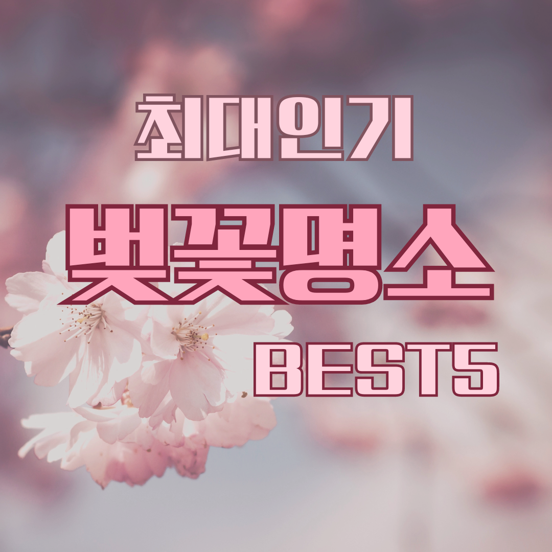 최대 인기 벚꽃 명소 BEST5