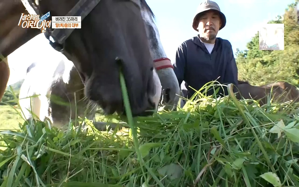 순간포착 세상에 이런일이.E1198.220920.H265p-BULDU.mp4_20220921_202000.075.jpg