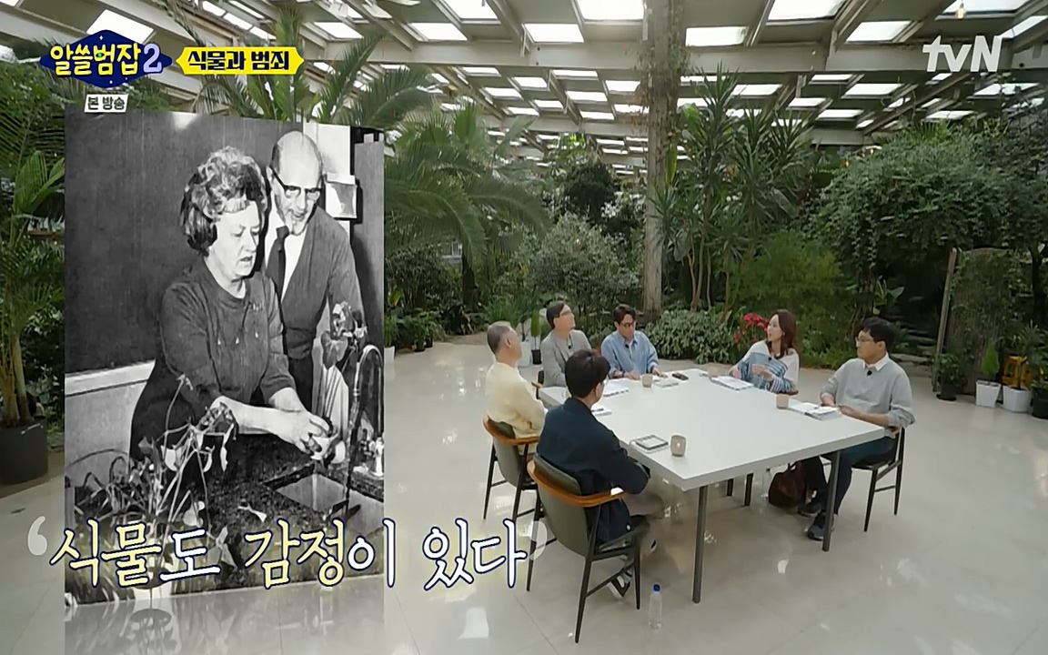 알쓸범잡 2.E15.220425p-NEXT.mp4_20220425_174610.966.jpg