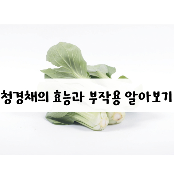 청경채의 효능과 부작용.