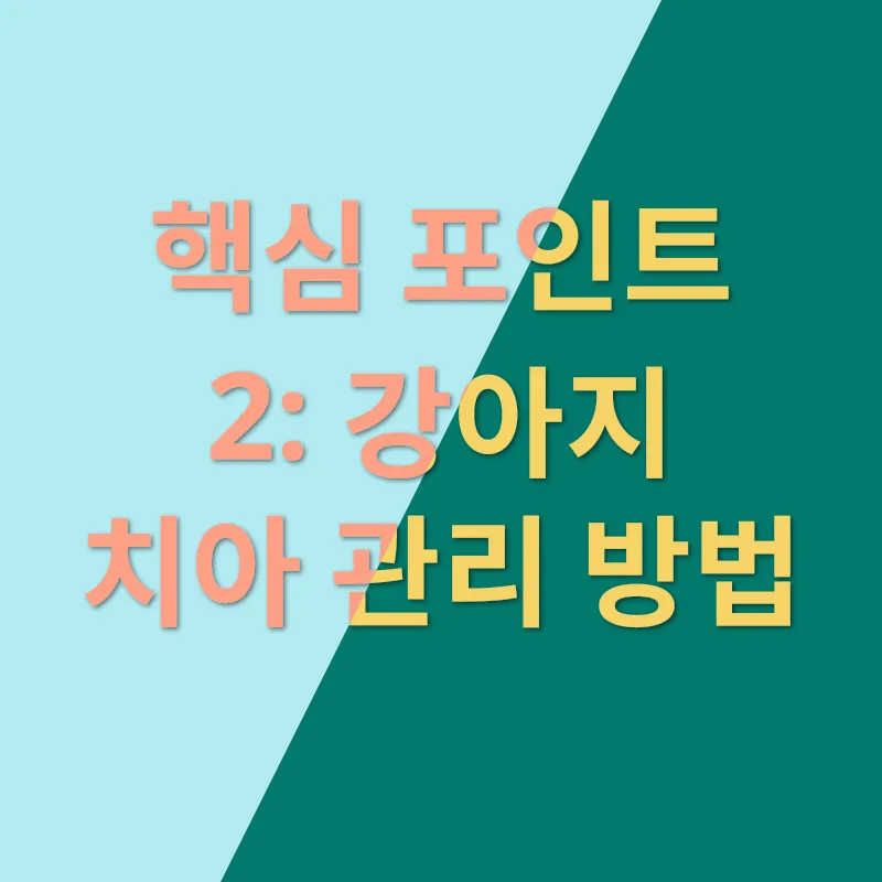 강아지 구강 관리_2