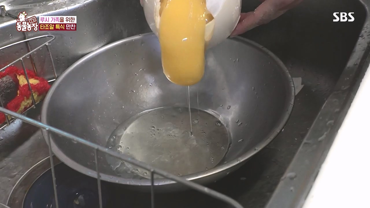 TV 동물농장.E1183.240805p-NEXT.mp4_20240804_154941.418.jpg