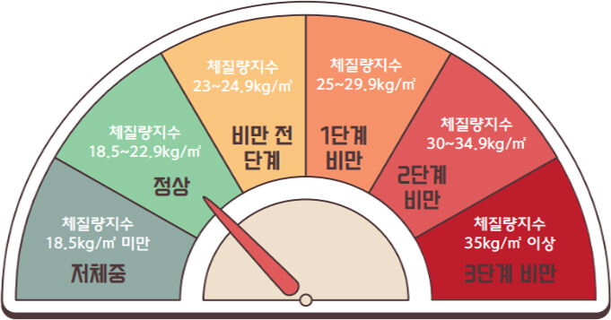 비만기준표