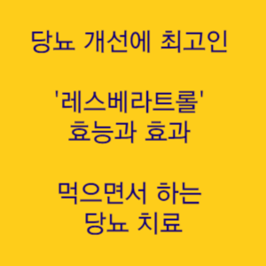 당뇨 개선에 최고인 레스베라트롤 효능과 효과 먹으면서 하는 당뇨 치료