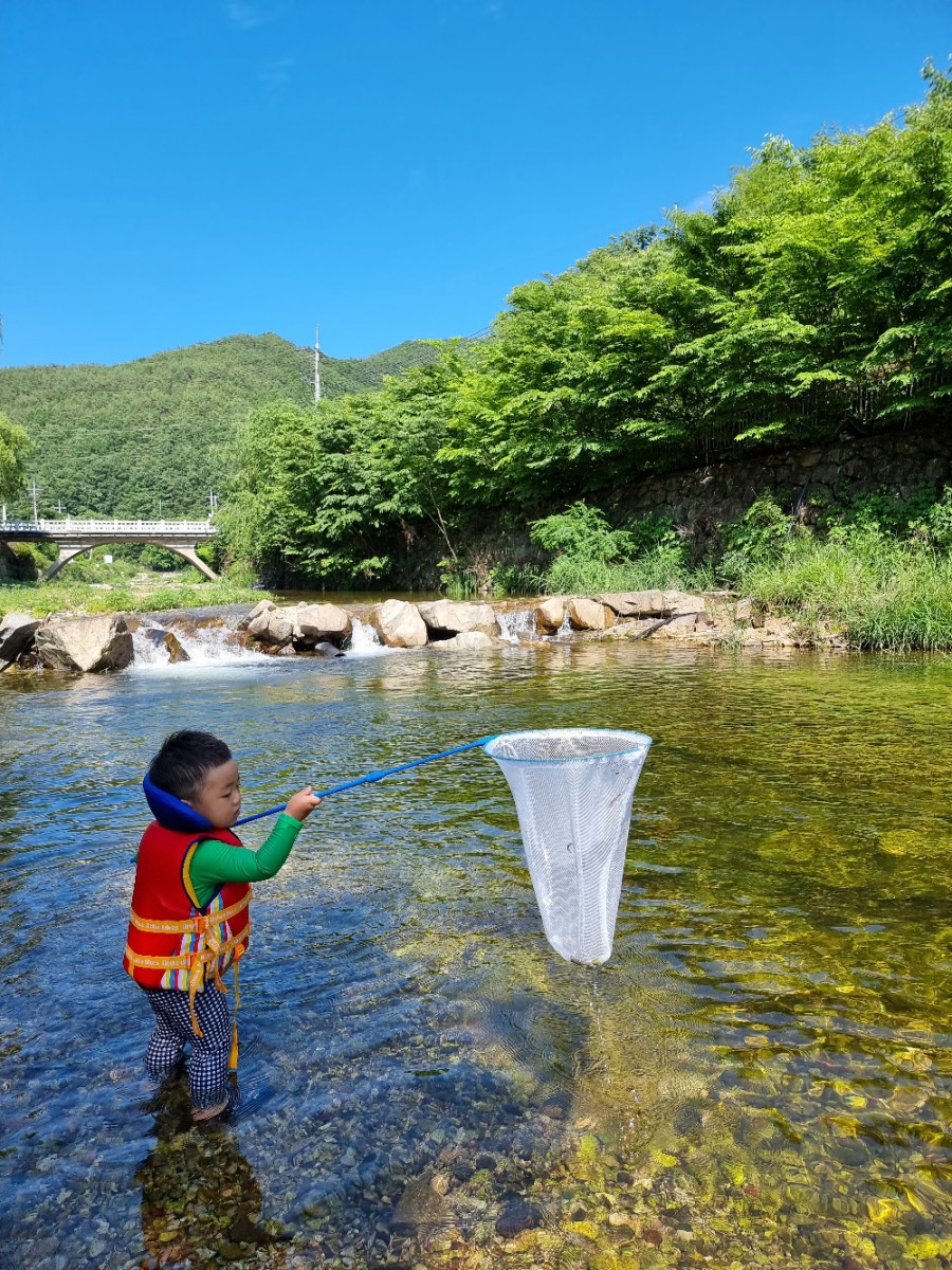 주왕산상의야영장, 청송 거리두기 46