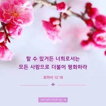 마음의 평화를 찾게 해주는 성경 말씀 평화 위로_2
