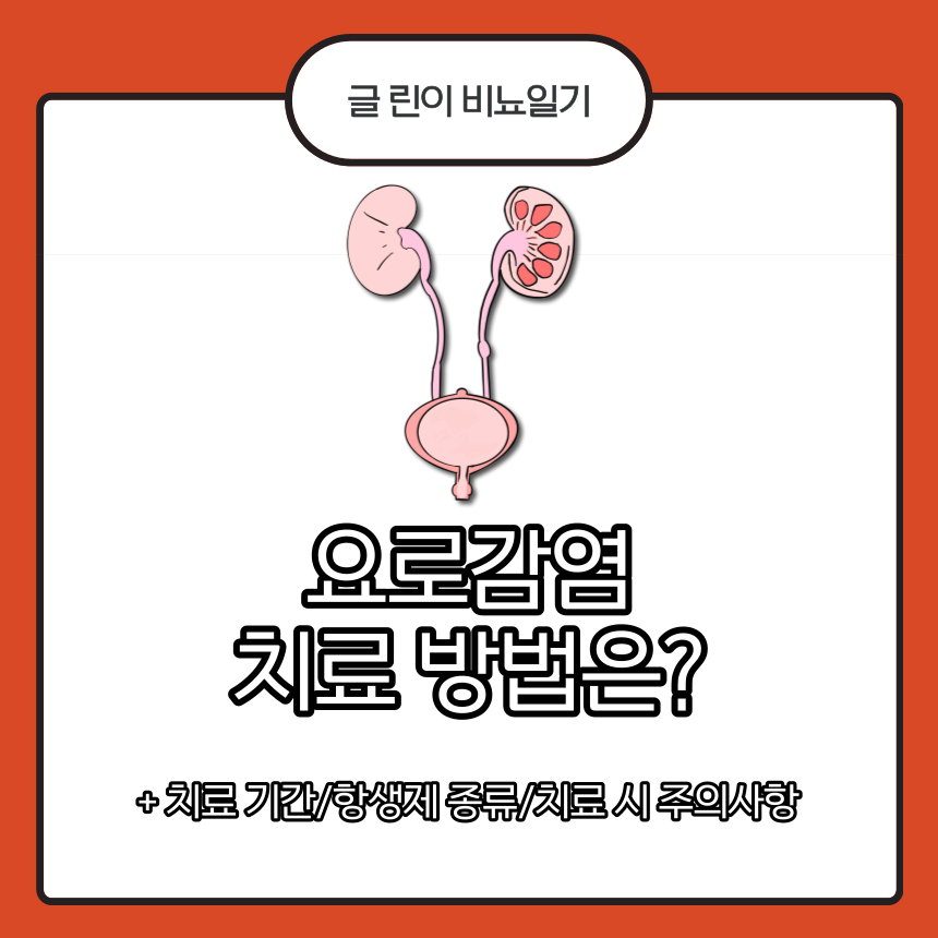  요로감염 치료 방법은?