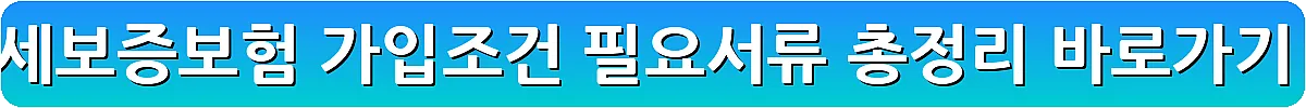 전세보증보험 가입조건 필요서류 총정리_11