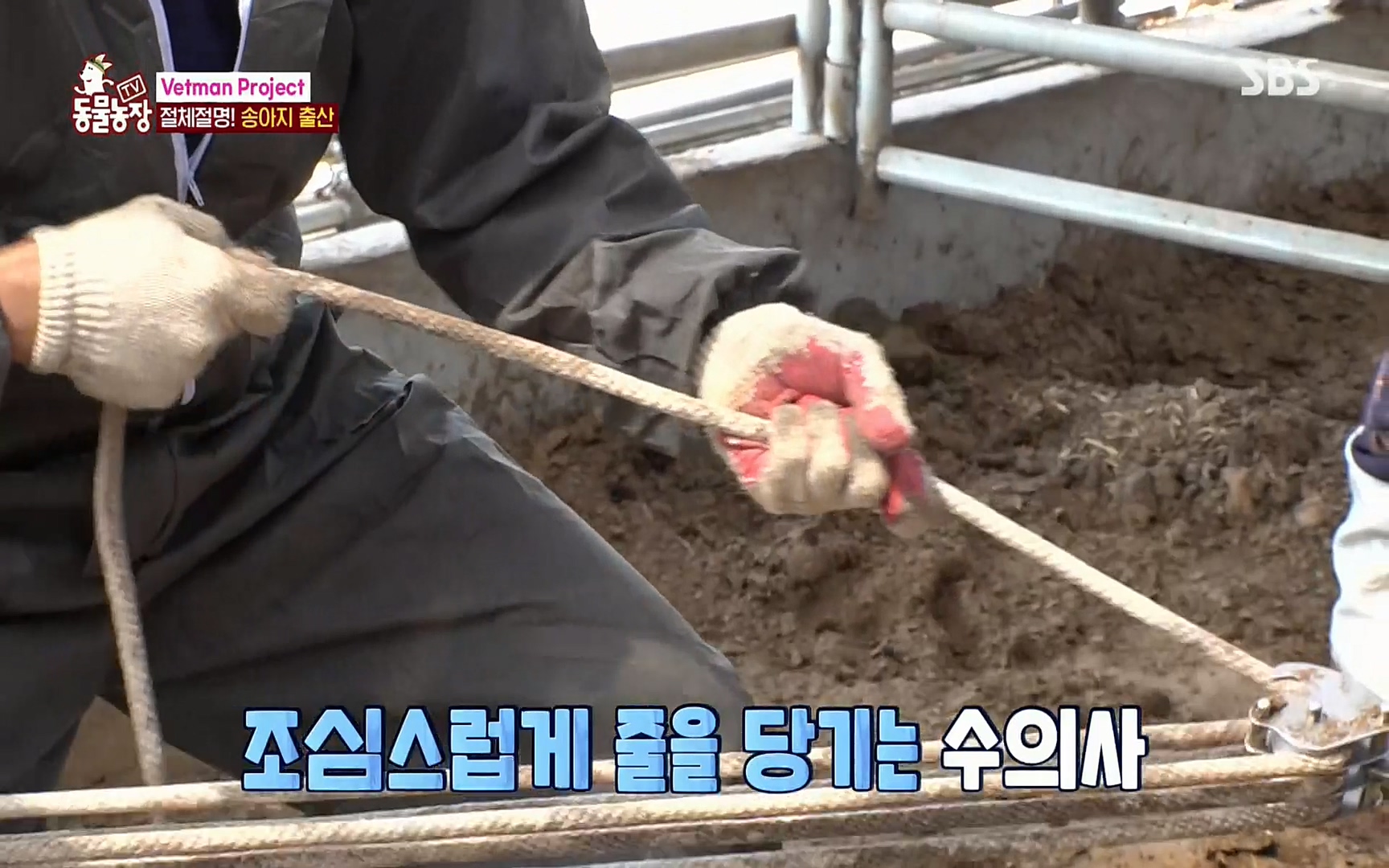 TV 동물농장.E1069.220515p.H264-F1RST.mp4_20220515_180034.964.jpg