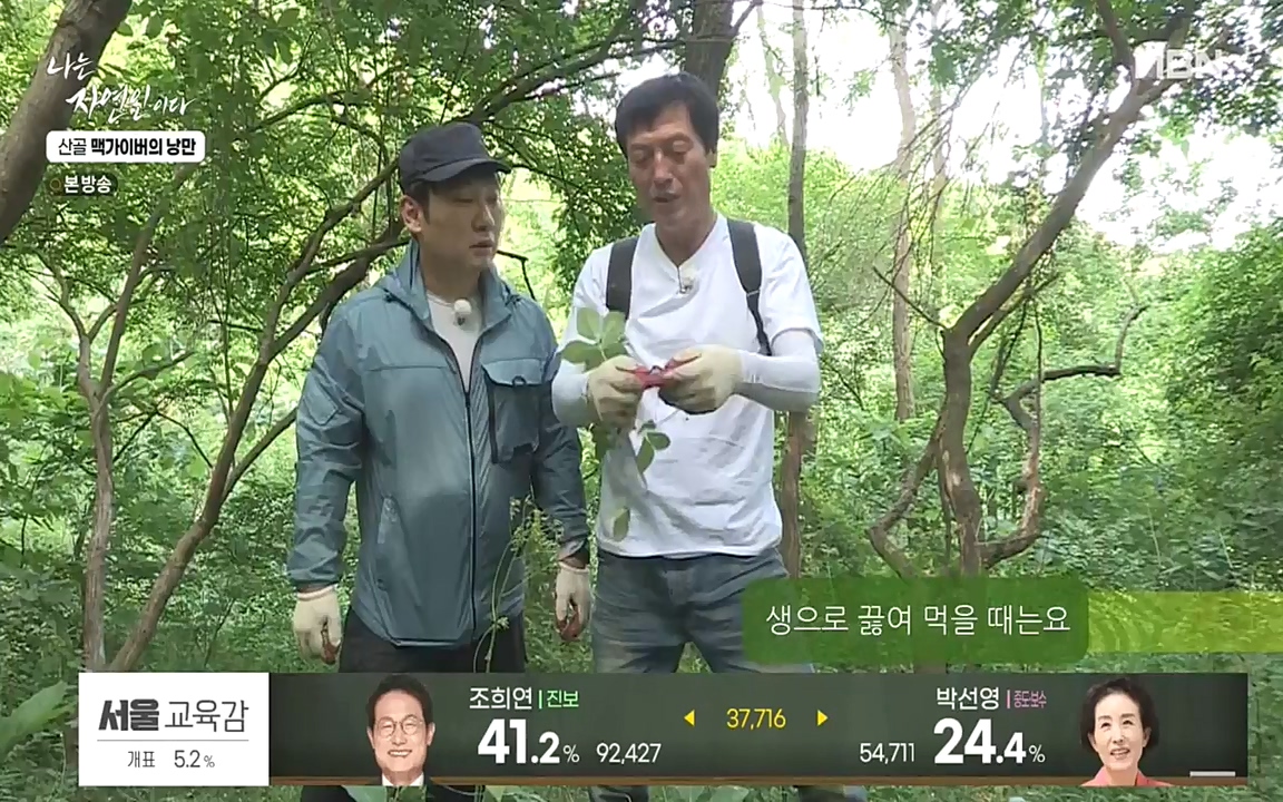 나는 자연인이다.E504.220602p-NEXT.mp4_20220602_201447.572.jpg