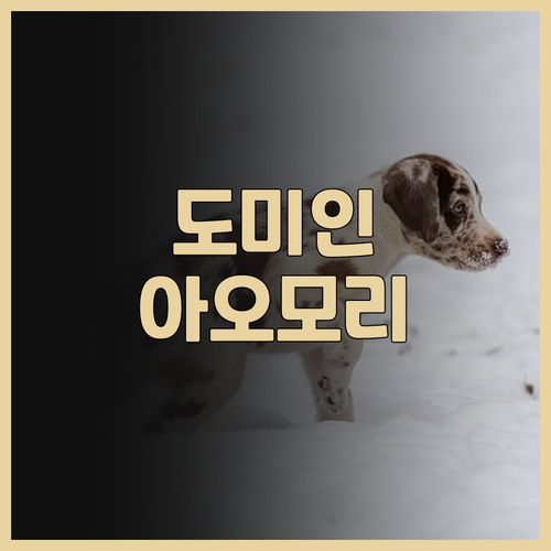 도미 인 아오모리 내추럴 핫 스프링 