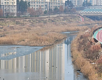 세계-공급망-안정화-변화-전망