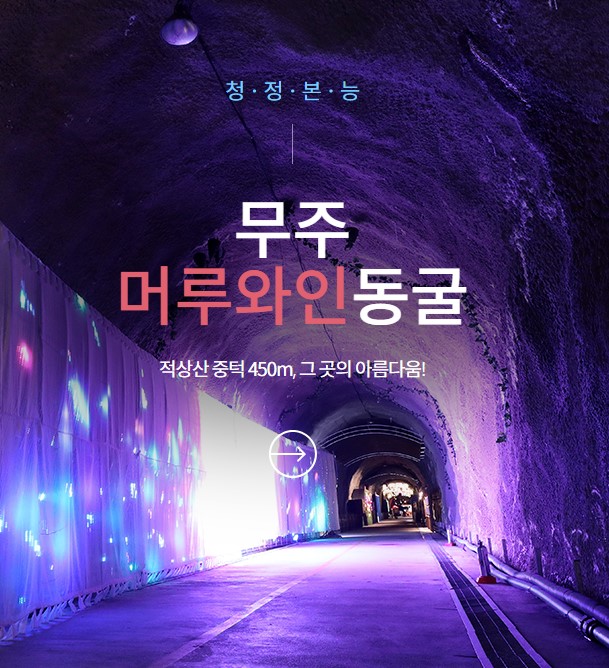  무주 머루 와인동굴! 이름만 들어도 설렌다.