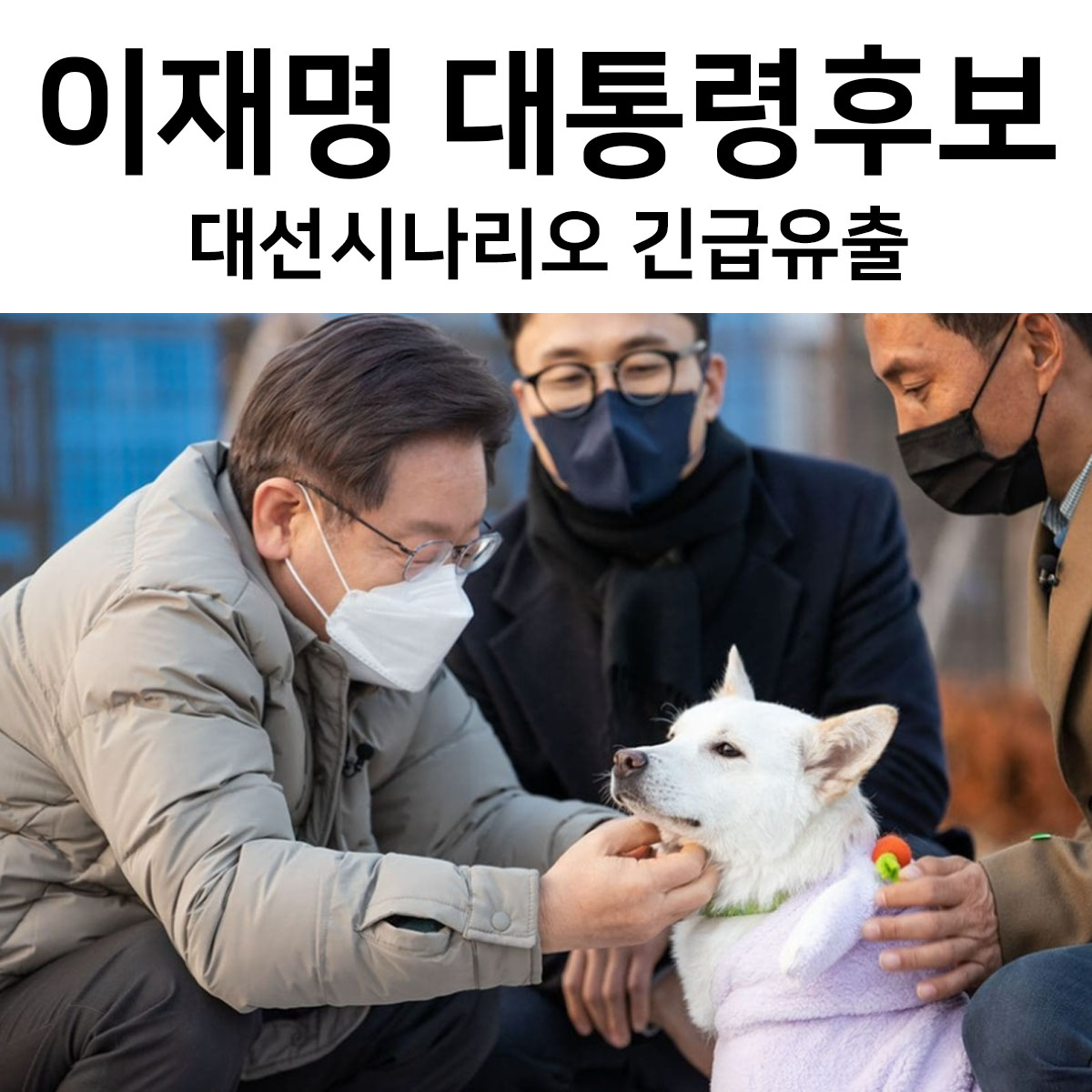  대선시나리오 긴급유출 이재명관련주