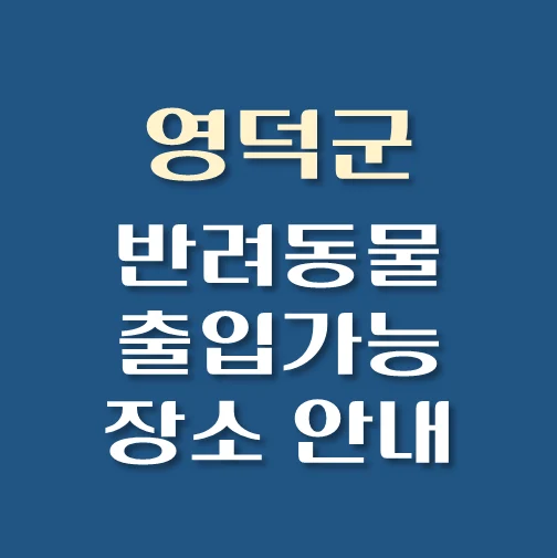 썸네일-영덕군-반려동물-출입가능-장소