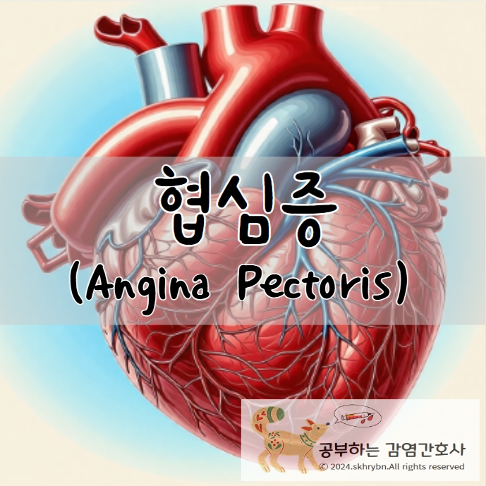 협심증 (Angina Pectoris)