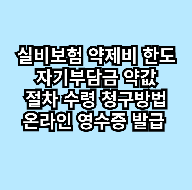 실비보험약제비한도청구