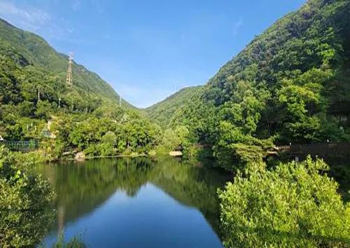 국립칠곡숲체원