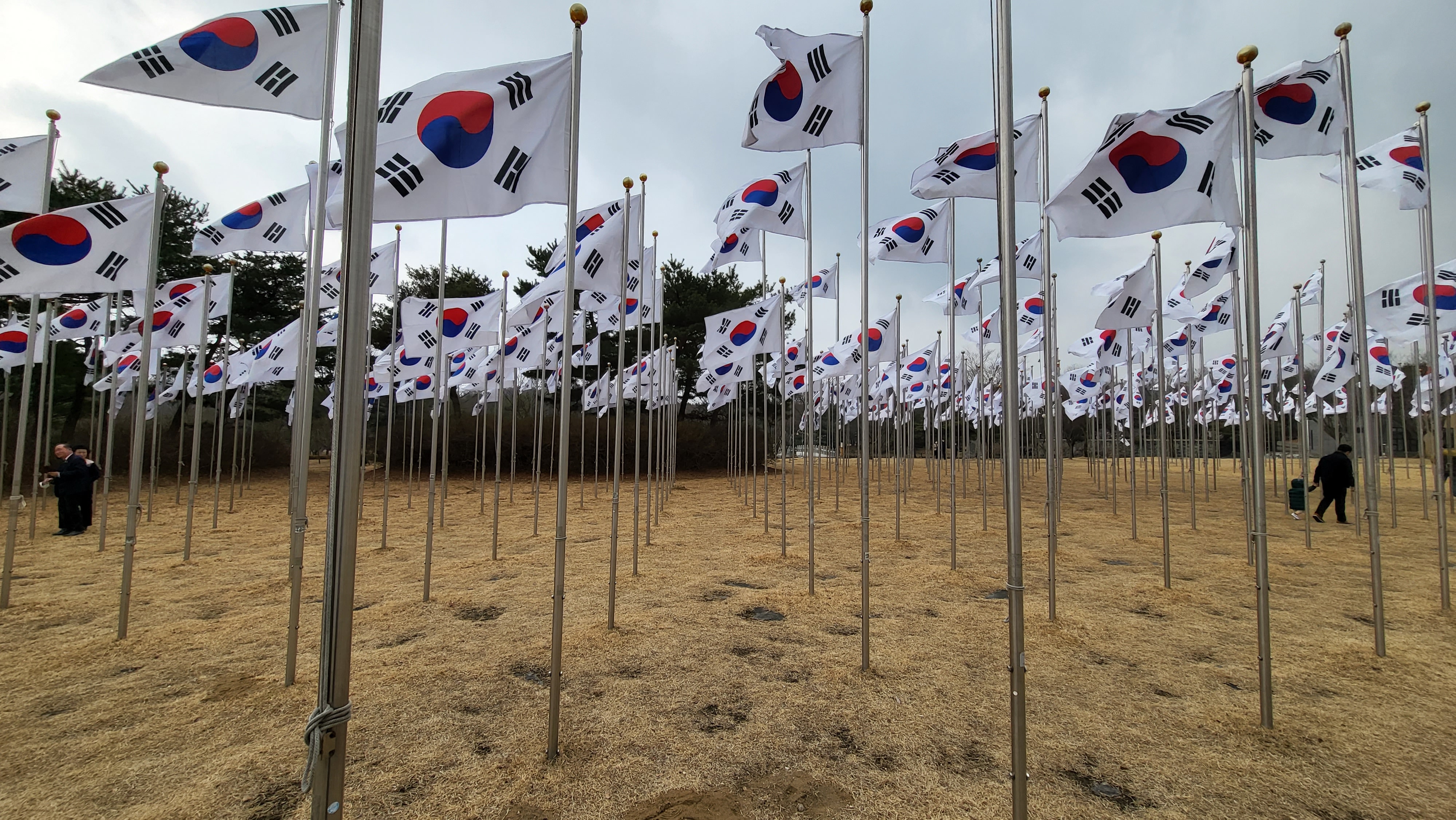  SW IT 기업 3000개! 815 광복절 특사 결정!