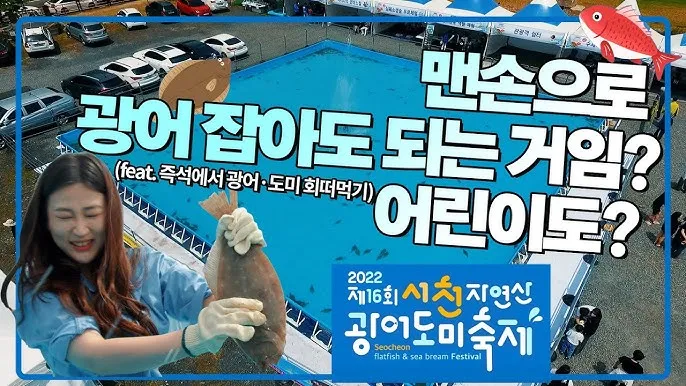 서천 광어 도미 축제에서 제철 맛 체험 완벽 여행 가이드_4