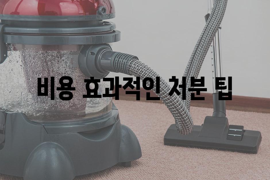 비용 효과적인 처분 팁