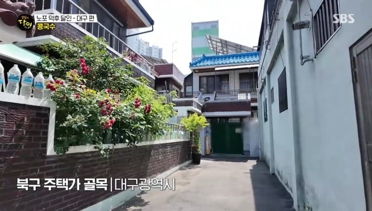 생활의 달인 987회 노포 덕후 달인 대구 칠성동 콩국수 맛집 옥순손칼국수
