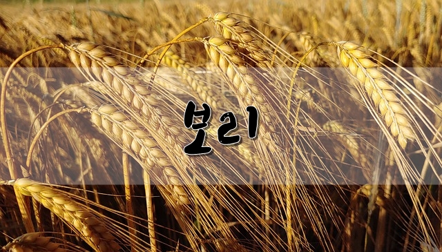  보리의 영양, 효능, 고르는 방법 등