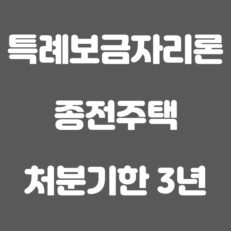 특례보금자리론