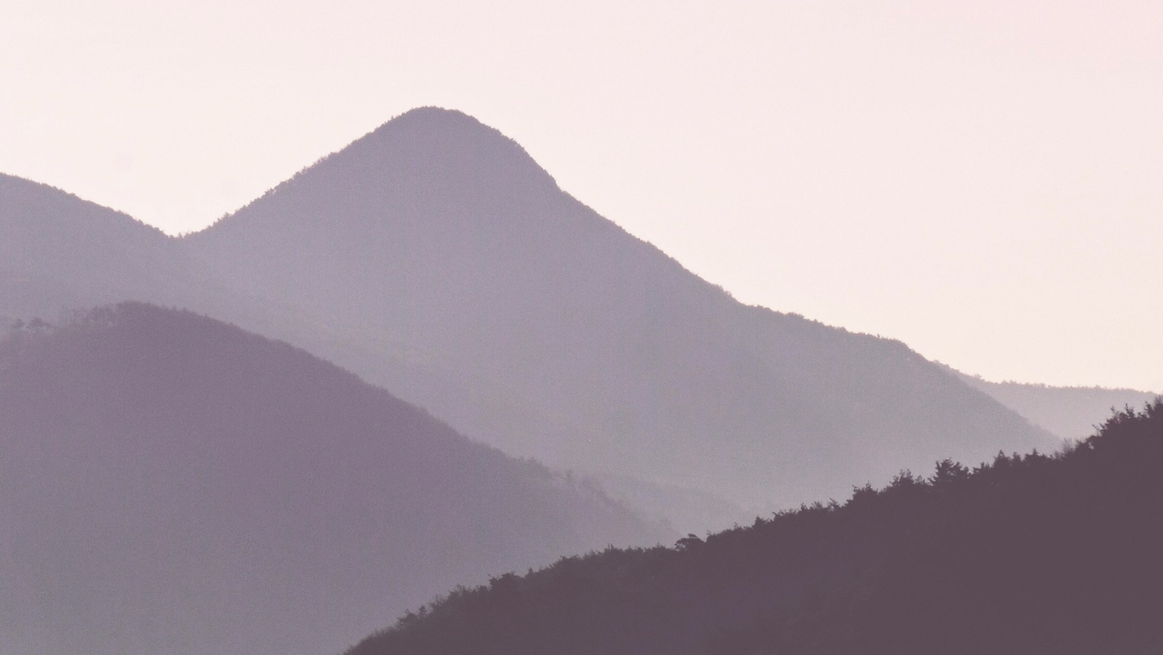 봄철 알레르기 대비 꿀팁 – 미세먼지 &amp; 황사 피하는 법