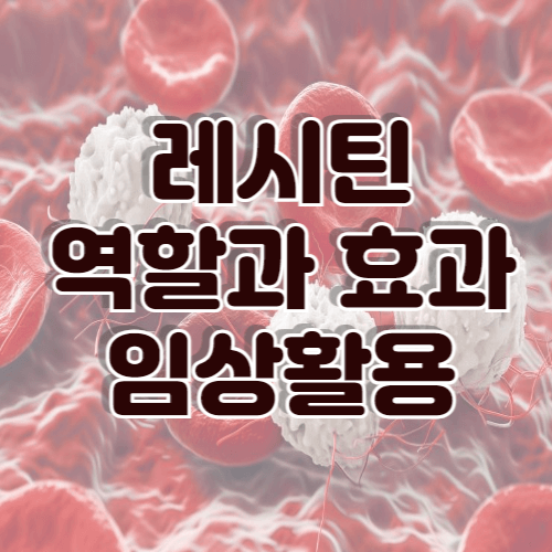 혈중 콜레스테롤 개선을 위한 레시틴의 역할과 임상적 활용