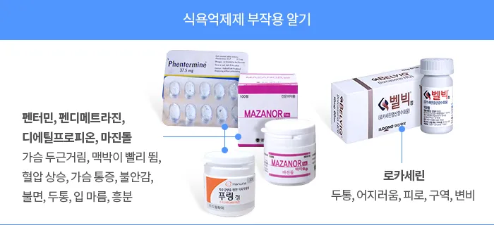 식욕억제제 종류 효능 효과_1