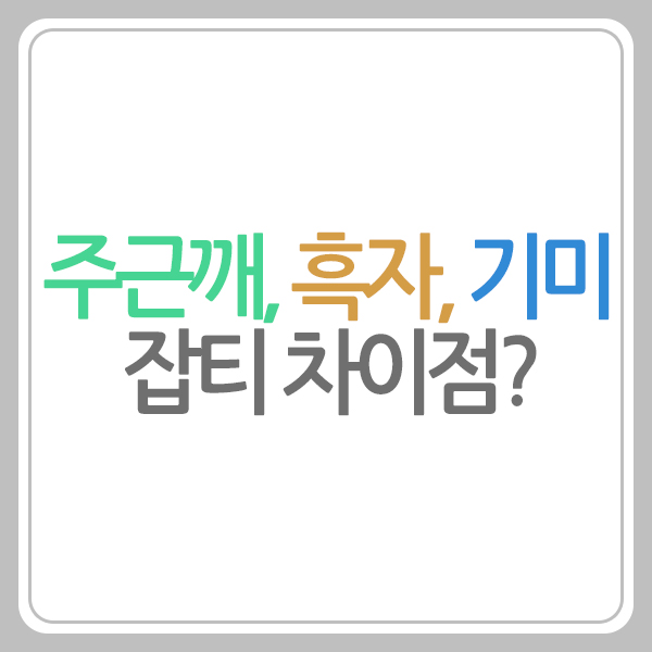 주근깨 흑자 기미