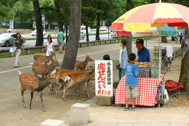 일본 자연 관광지