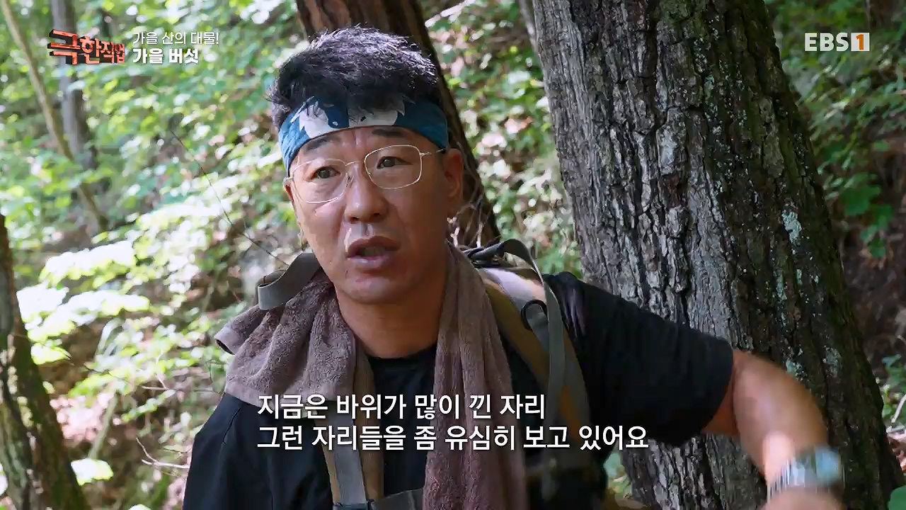 TV - 전 국민의 평생학교 EBS가을 산의 대물! 석청과 버섯.mp4_20230916_171659.303.jpg