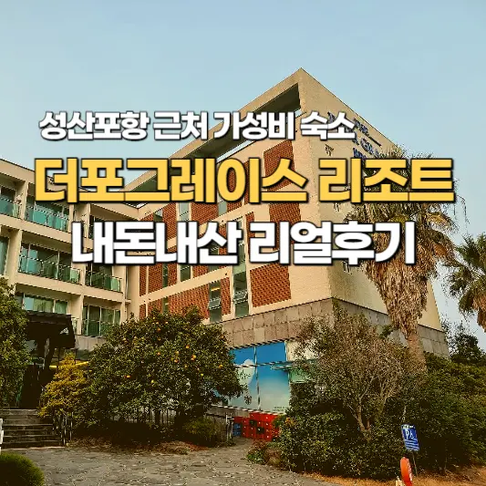 그레이스올 이미지