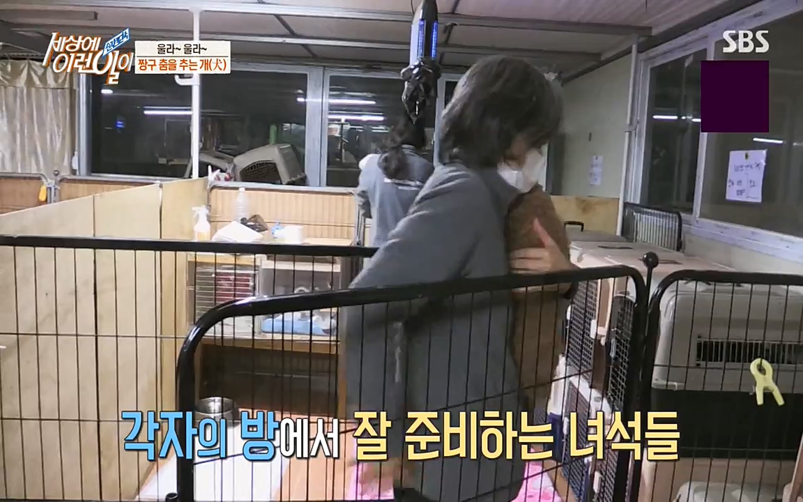 순간포착 세상에 이런일이.E1179.220511p-NEXT.mp4_20220511_175840.180.jpg