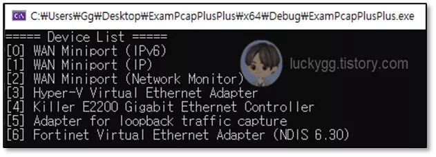 PcapPlusPlus로-얻어진-네트워크-목록
