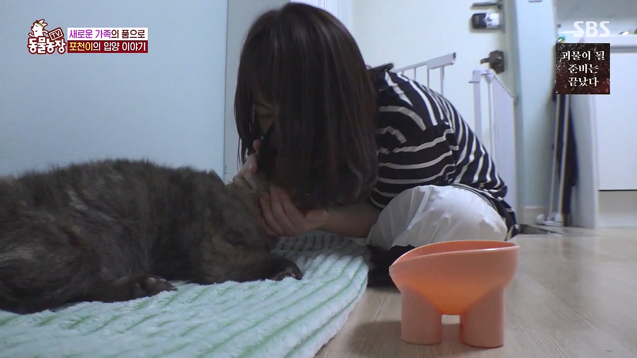TV 동물농장.E1137.230911p-NEXT.mp4_20230910_183226.374.jpg