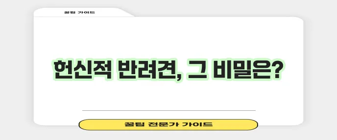 충성심 강한 강아지 품종은 사랑과 헌신의 상징입니다!