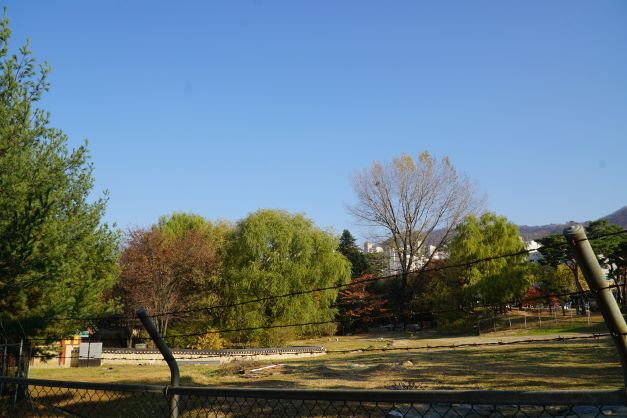 파란 하늘&#44; 철조망 너머에 궁집 풀밭 마당