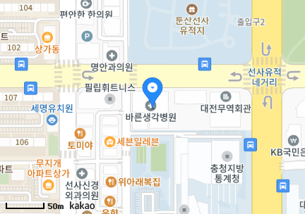 대전 서구 월평동 일요일 진료 휴일 문 여는 병원