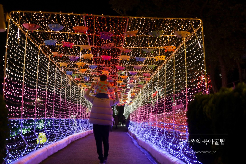 경북 축제 경북 아이와가볼만한곳 청도 58