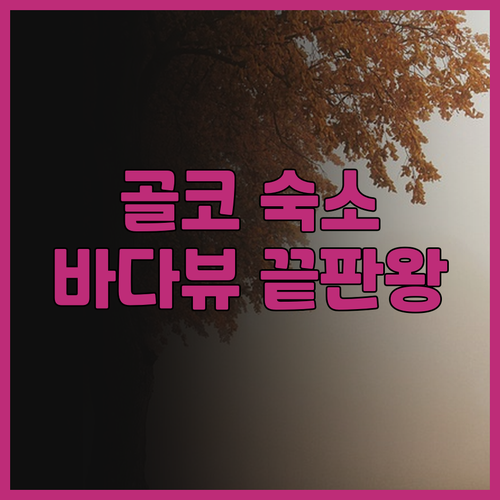 골드 코스트 PIK 숙소 후기.. 바