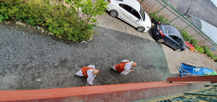 img.jpg