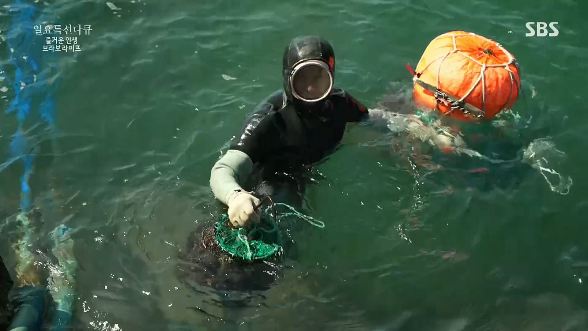 일요 특선 다큐멘터리.E292.221016p.H264-F1RST.mp4_20221018_183600.952.jpg